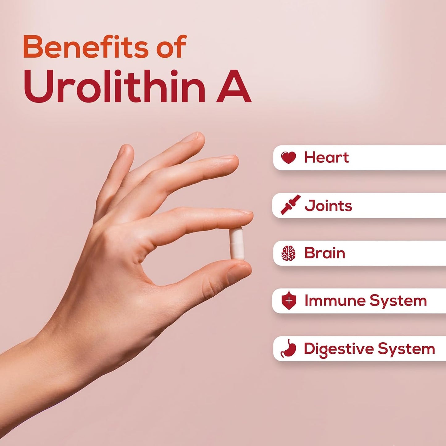 Urolithin A Capsules